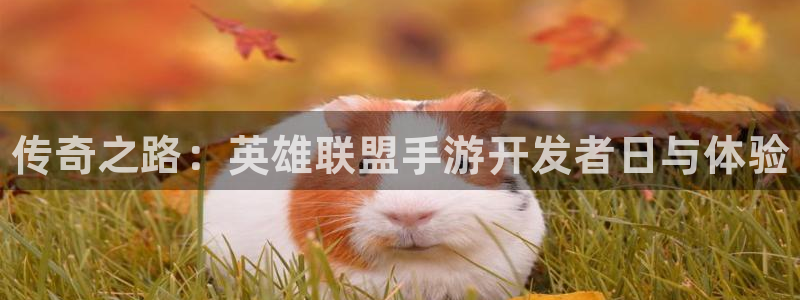 大神吧论坛28算法注册