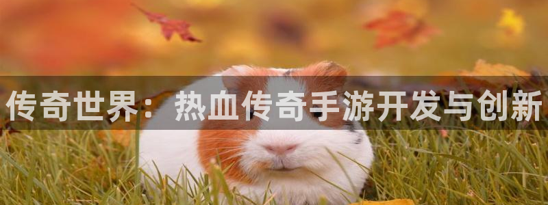 28大神预测app苹果