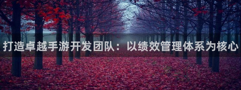 大神吧28预测结果：打造卓越手游开发团队：以绩效管理体系为核