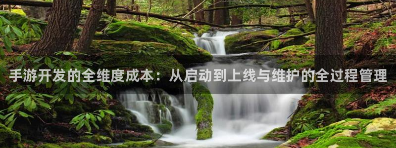 28大神官网苹果：手游开发的全维度成本：从启动到上线与维护的