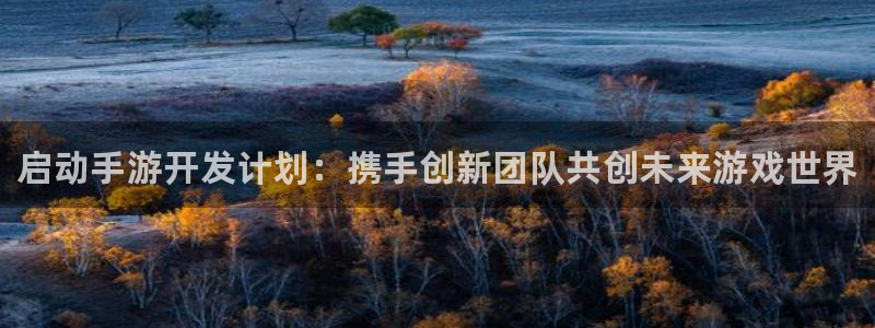 pc28大神苹果下载：启动手游开发计划：携手创新团队共创未来