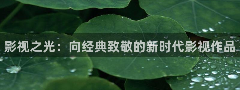 米奇影视在线777：影视之光：向经典致敬的新时代影视作品