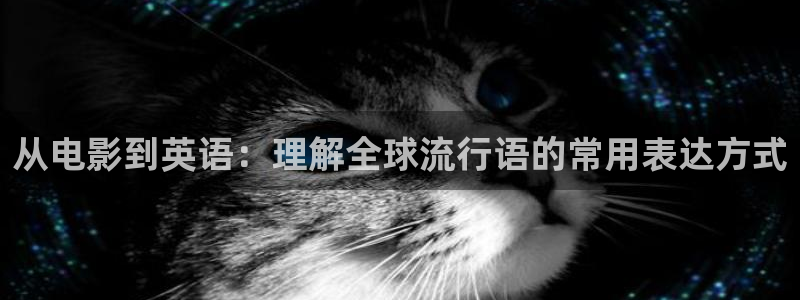 777米奇影院第一区：从电影到英语：理解全球流行语的常用表达方式
