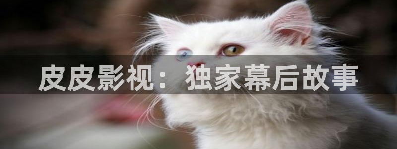 777米奇影院狠狠来：皮皮影视：独家幕后故事