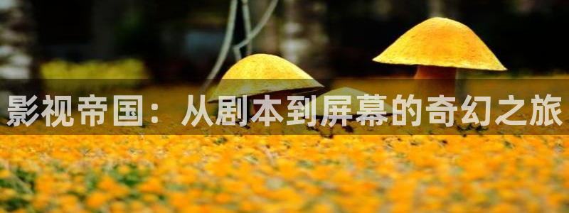 奇米网777米奇影院：影视帝国：从剧本到屏幕的奇幻之旅