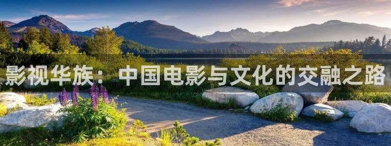 777米奇影院333：影视华族：中国电影与文化的交融之路