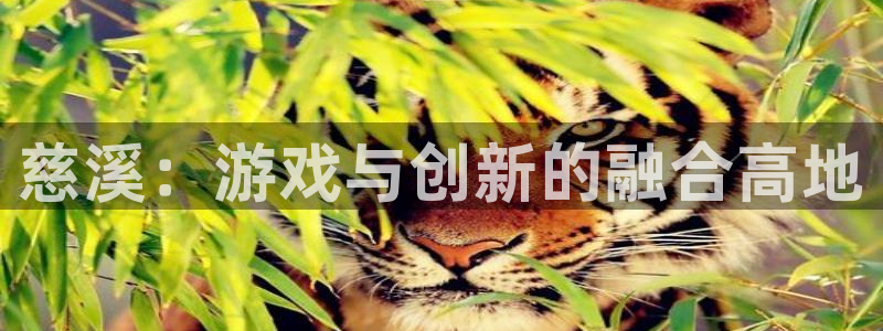 大神pc28开奖官网：慈溪：游戏与创新的融合高地